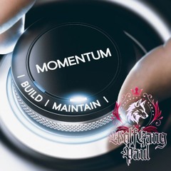 Momentum (P=MV)