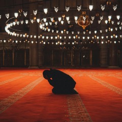 Maula meray maula