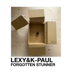 Happy Zombies (Paul Kalkbrenner Remix)