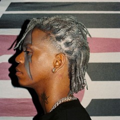 DC The Don - MONA LISA