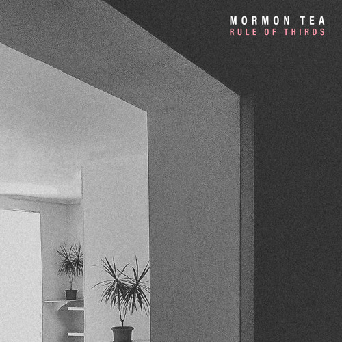 stream-rule-of-thirds-by-mormon-tea-listen-online-for-free-on-soundcloud