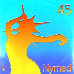 KLUSTERKAST_45｜Nymed