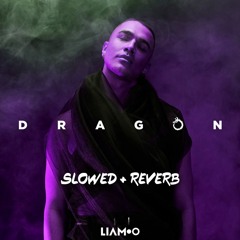 Liamoo - Dragon (SLOWED + REVERB)