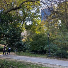 Central Park