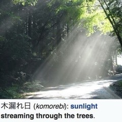 light feel