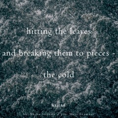 halF brokeN [naviarhaiku383]