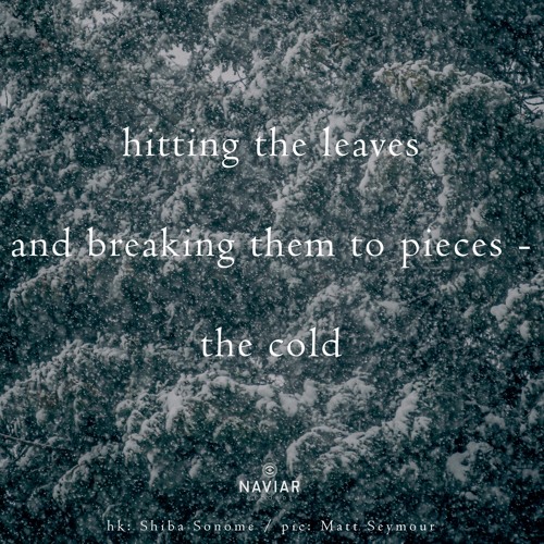 halF brokeN [naviarhaiku383]
