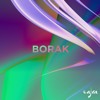 BORAK DJ mix artwork - Electronic music tracklist cover image
