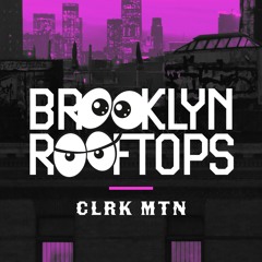 Brooklyn Rooftops