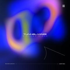 IAMT360: Giacomo Dianz - Tunnel Maze