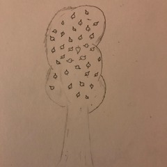 TRIBUTE