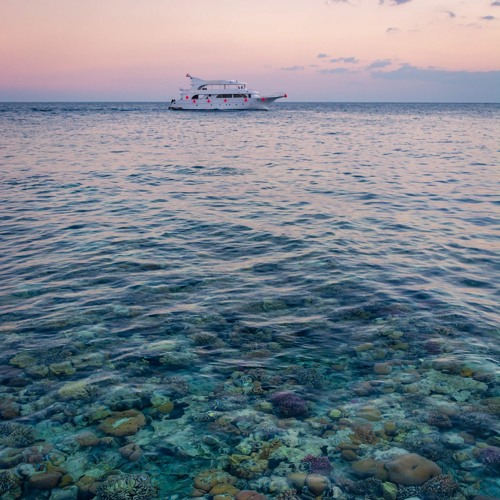لحظة صفا - منى عبد الغنى