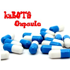 kaBOTS-Capsule(Ghost Song Contest)