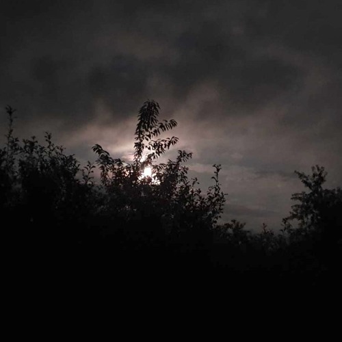 Session 212 - Dub under the Blue Moon - played live on WTMO