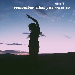 Remember What You Want To