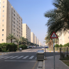ضيم بريسم