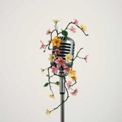 말버릇 (Habit-Tied Words)