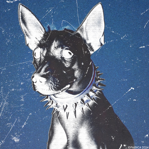 Roger Plex, abe (xx) - PERRO RAVEROSO (feat. Tore m.o.) [EXTENDED]