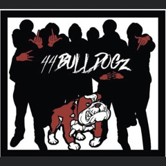 GO DUMB (Go stupid remix )