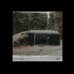 Bunkermukke 002