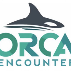 Seaworld Orlando-The Hunt At Orca Encounter