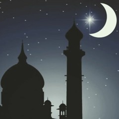 Arabien Night Radio Edit