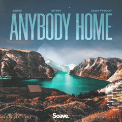 Zens, BTRN & Dom Fricot - Anybody Home