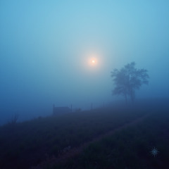 ambient 4