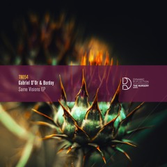 Gabriel D’Or & Bordoy - Dibok