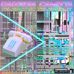 Caixedia Camista  Telesensory