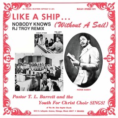 Nobody Knows - RJ Troy Remix