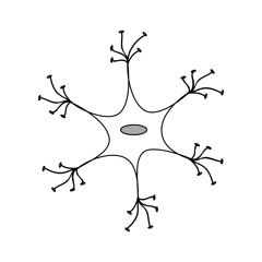 sympathetic nerve activity