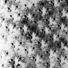 "Twinkle",Fanny compo arrangnt texte flute/Lionel batt/Lucas bass/Alex Guit/ Mathilde flute voix.