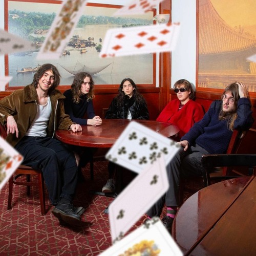 Geese ~ Interviewed on 2SER's Static