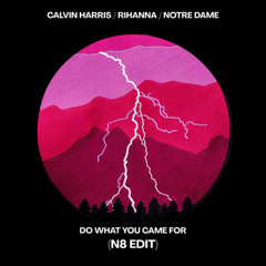 DO WHAT YOU CAME FOR (N8 EDIT)