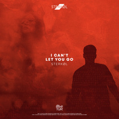 I Can't Let You Go