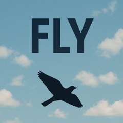 Fly
