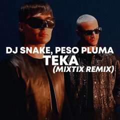 DJ Snake, Peso Pluma - Teka (Mixtix Remix)
