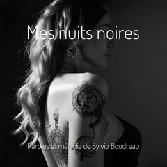Mes nuits noires