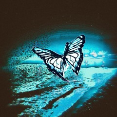 6c4m, Deviant"s confession - Night Buterfly (prod. Deviant"s confession)