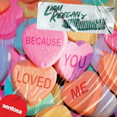 Liam Keegan & Steven Robinson - Because You Loved Me (Radio Edit)