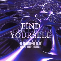 Find Yourself (Within this Mess)