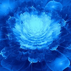 BLOOM (feat. 니구름)