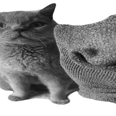 Brushing My Cat With a Shure SM58 Again