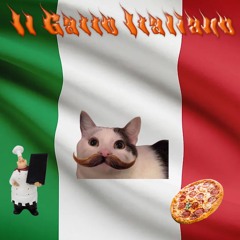 Il Gatto Italiano