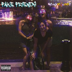Fake Friends