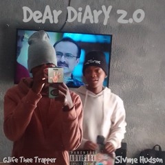 DeAr DiArY 2.0 W/Slvme Hudson