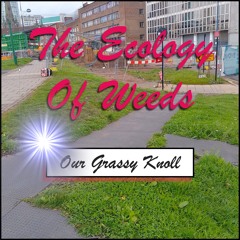 The Ecology Of Weeds; Our Grassy Knoll