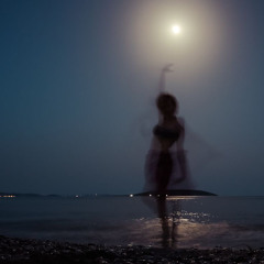 Dance In The Moonlight