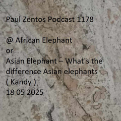 Paul Zentos Podcast 1178 @ African Elephant or Asian Elephant – What's the difference Asian elephants ( Kandy ) 18 05 2025